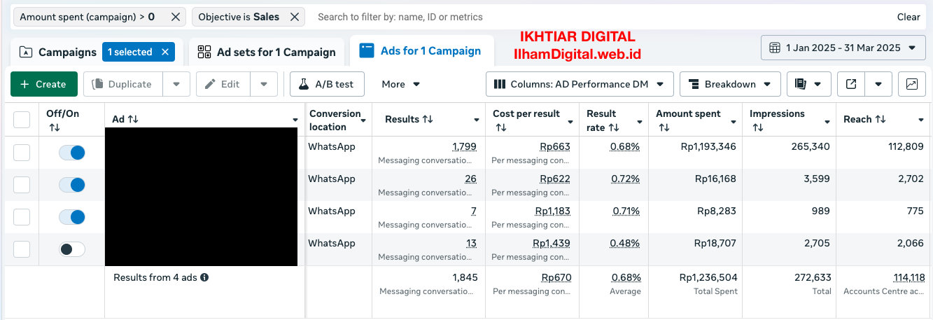 Meta Ads Performance