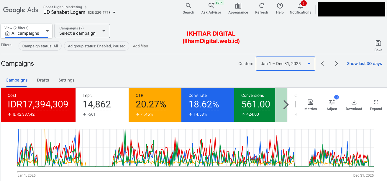Google Ads Performance